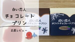 【本音レビュー】白い恋人のチョコレートプリン、お土産としてアリ？ナシ？